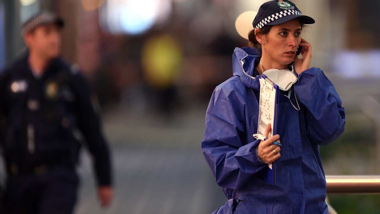 parramatta_stabbing2.jpg