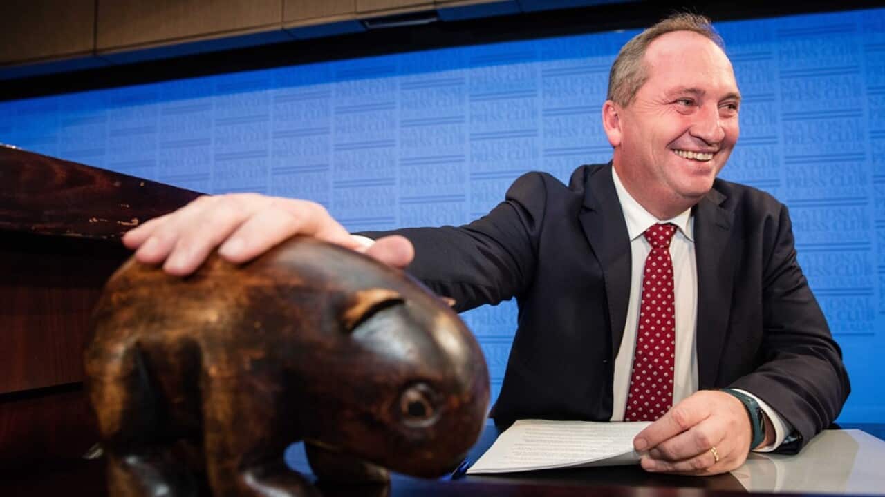 Deputy Prime Minister and leader of the Nationals, Barnaby Joyce pats a wooden wombat before starting a election address at the National Press Club of Australia in Canberra, Wednesday, Jun. 22, 2016. (AAP Image/Andrew Taylor) NO ARCHIVING