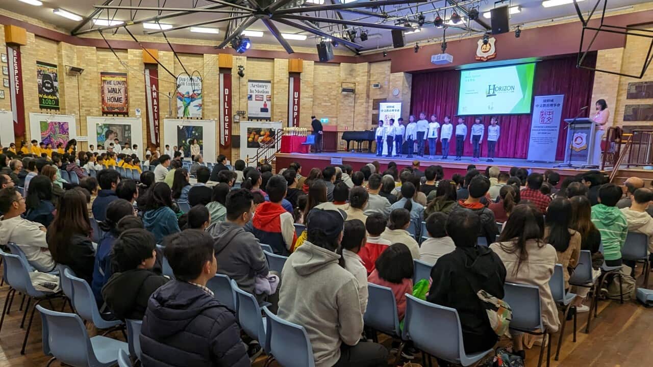 Chinese Eisteddfod 2023