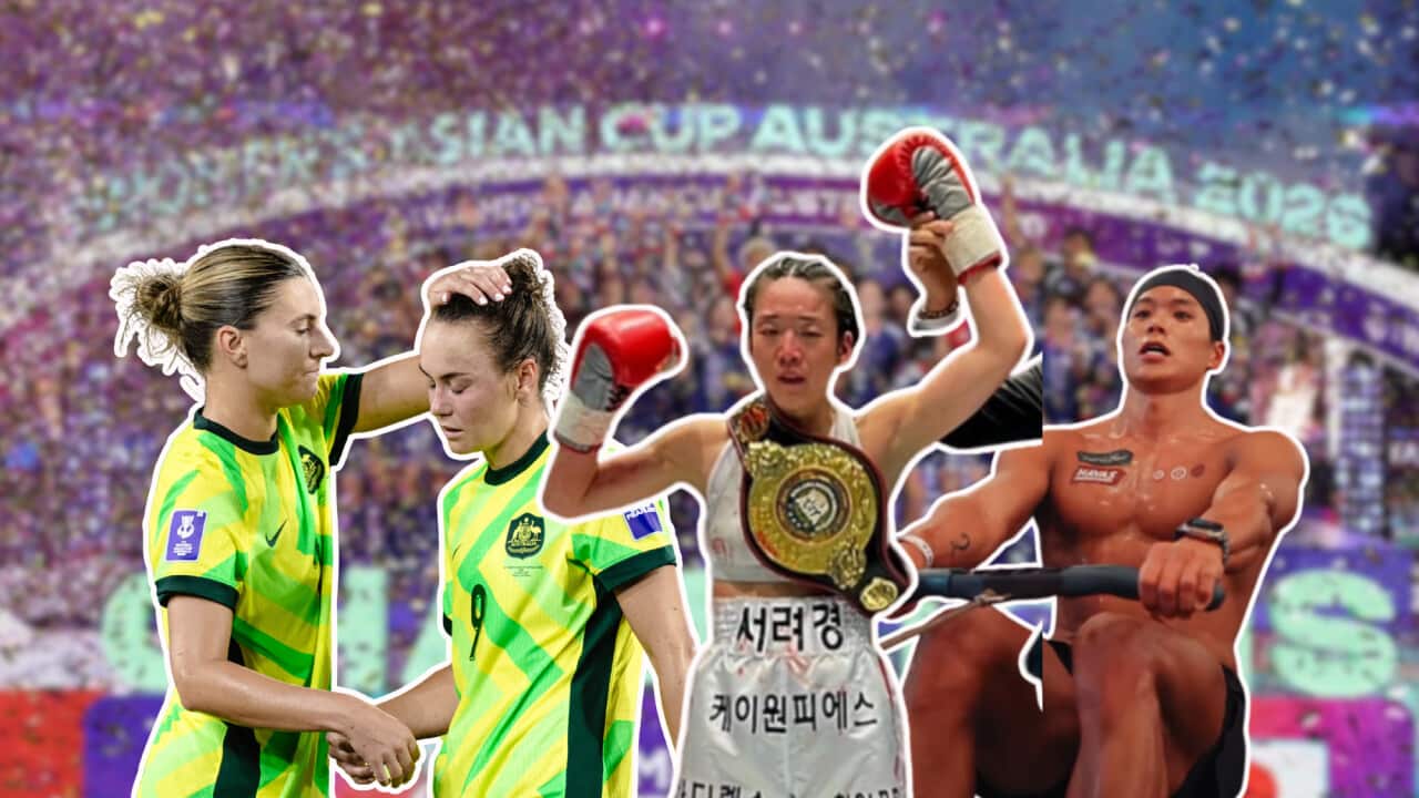 sports catchup (1).png