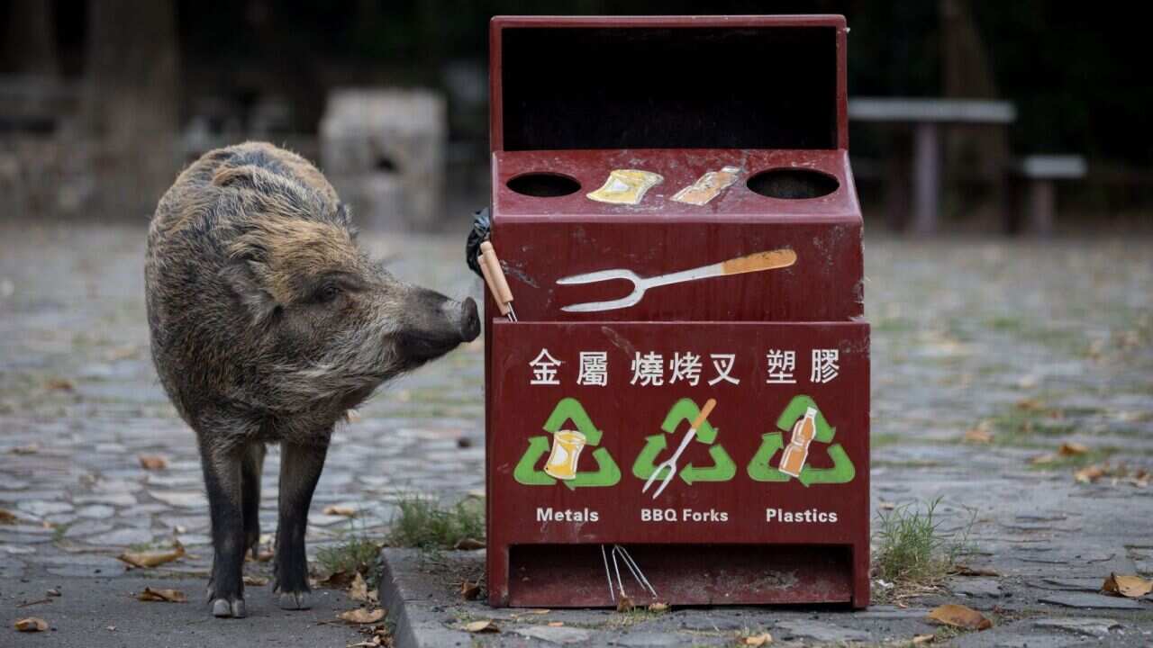 Image for read more article ''