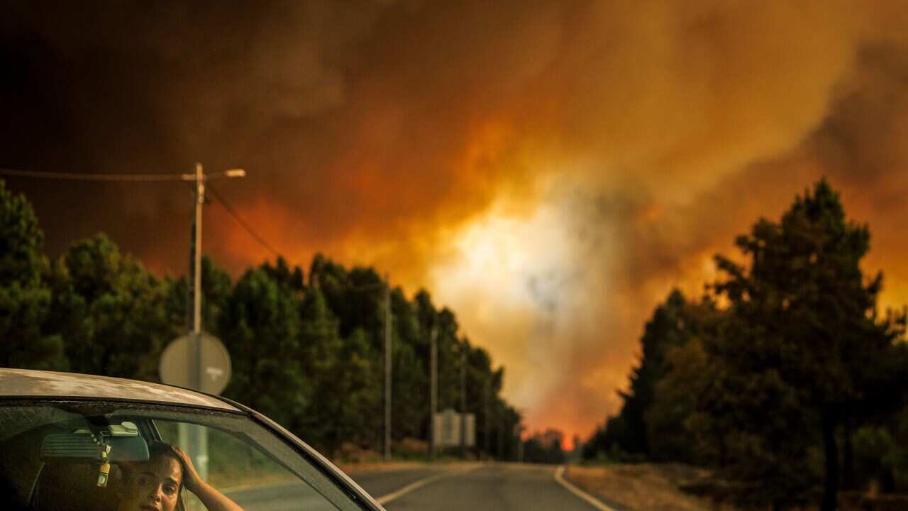 Wildfires in Portugal