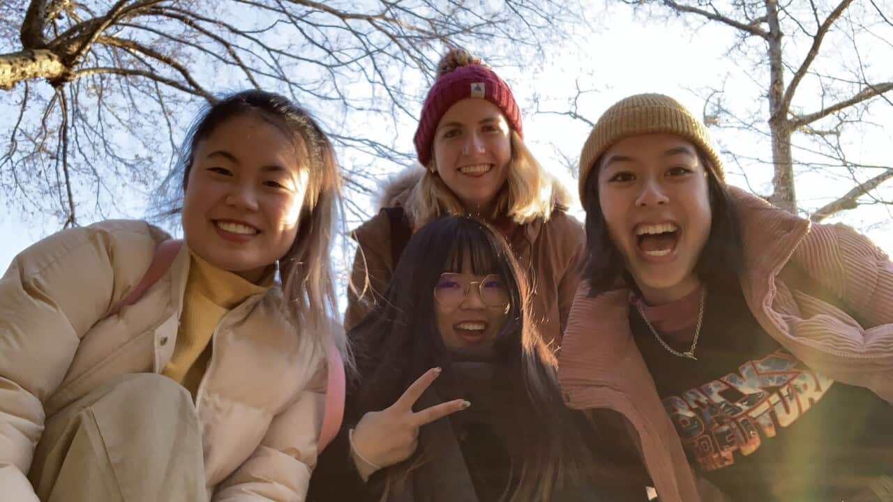 Image for read more article ''