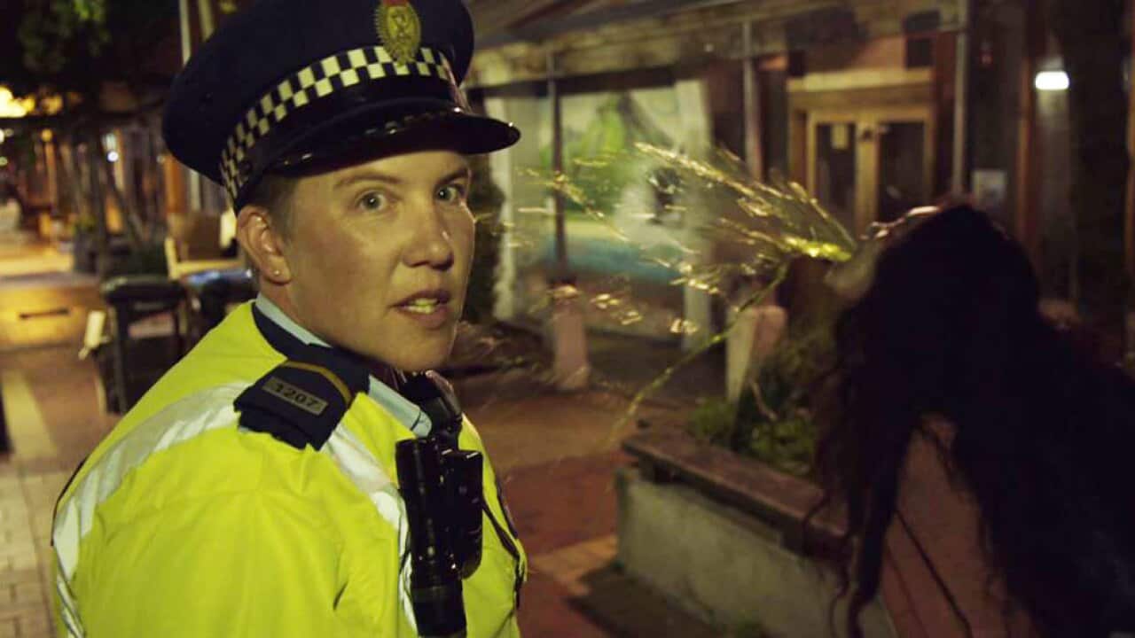 Wellington Paranormal