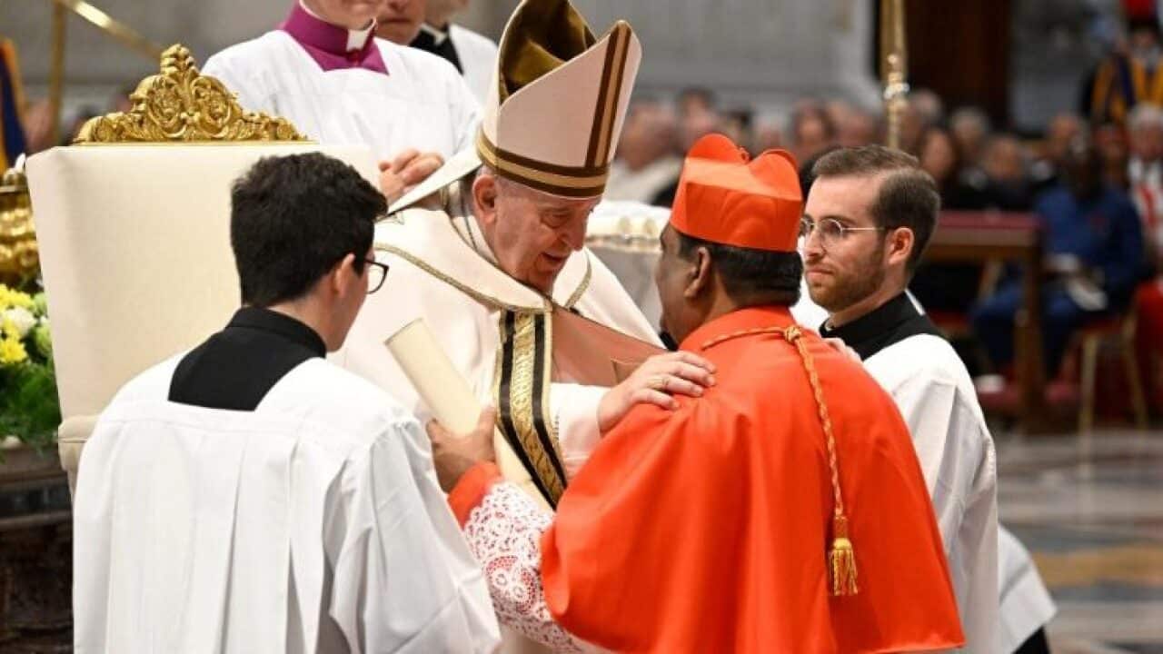 Pope Francis vatican news.jpeg