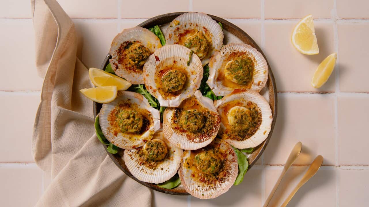 Roasted scallops with café de Paris butter