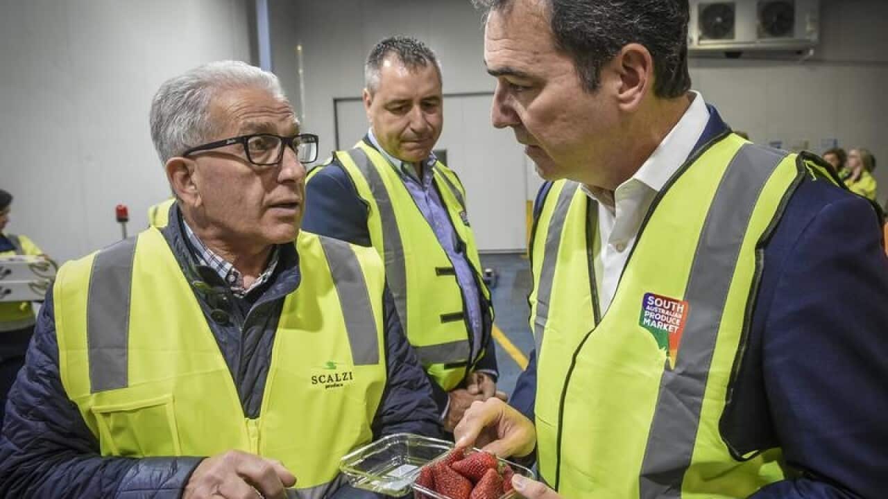 SA Premier Steven Marshall holds a punnet of strawberries.
