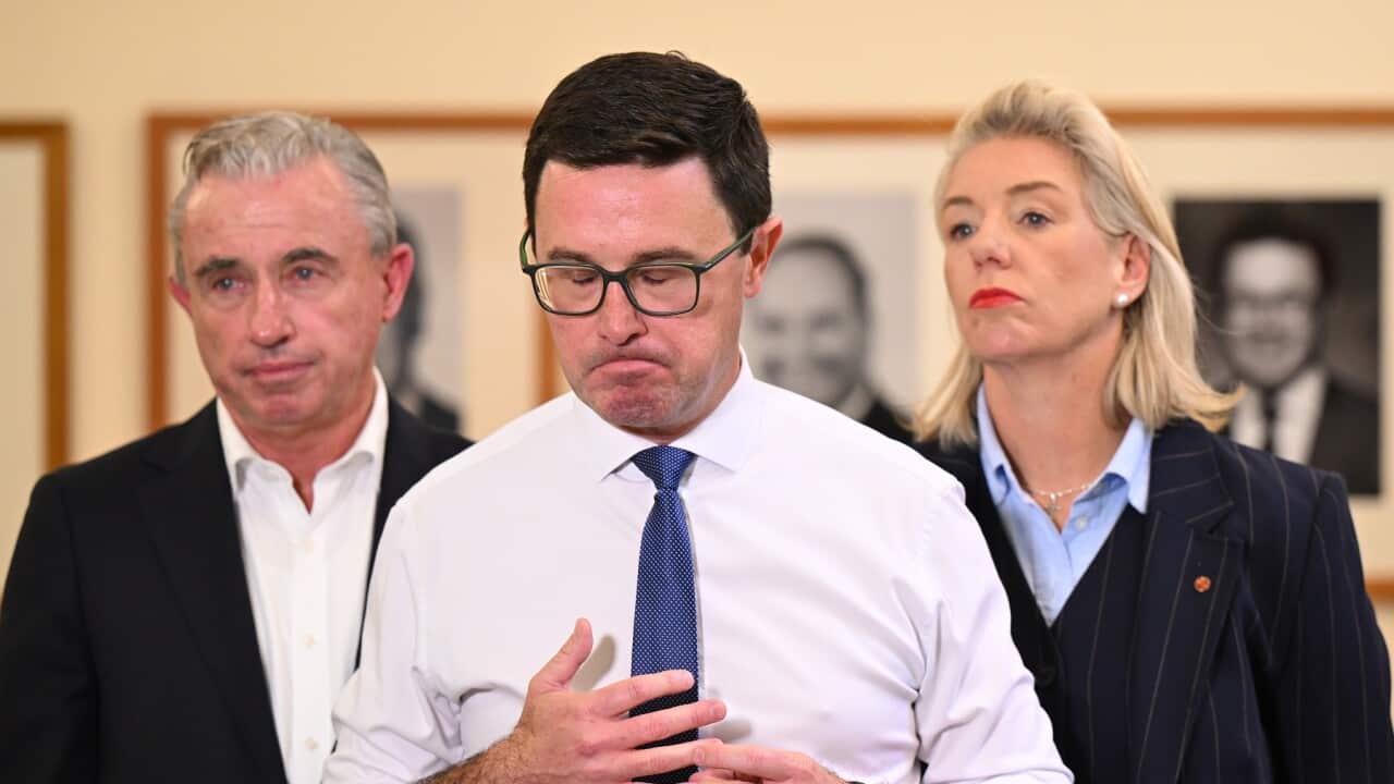 DAVID LITTLEPROUD COALITION AGREEMENT PRESSER