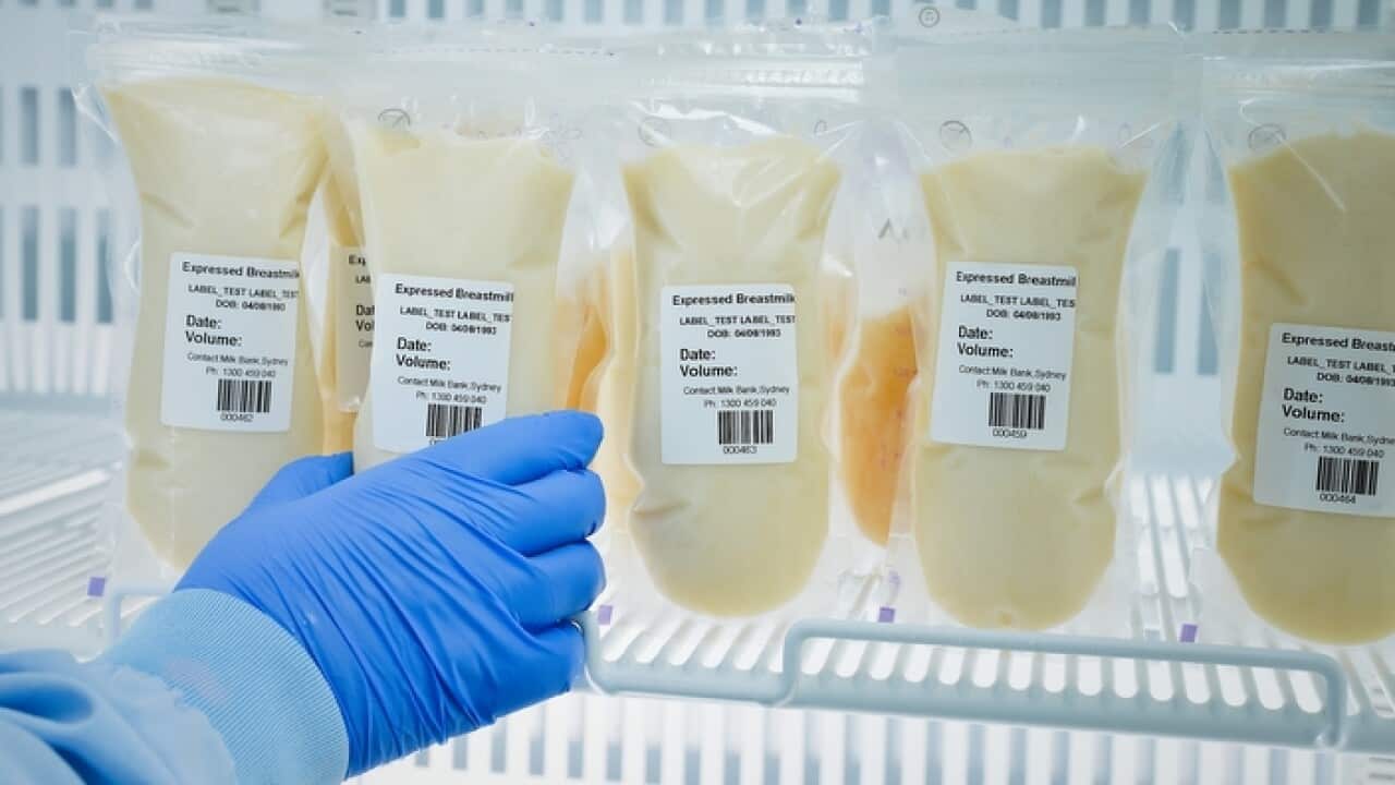 Breast milk that will be delivered to premature babies in South Australia's neonatal intensive care units following the launch of the state's first milk bank.