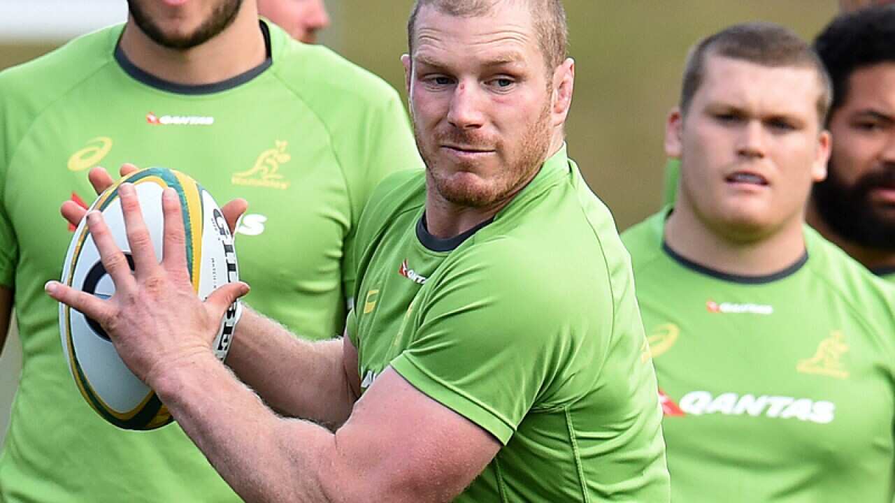 Wallabies back rower David Pocock