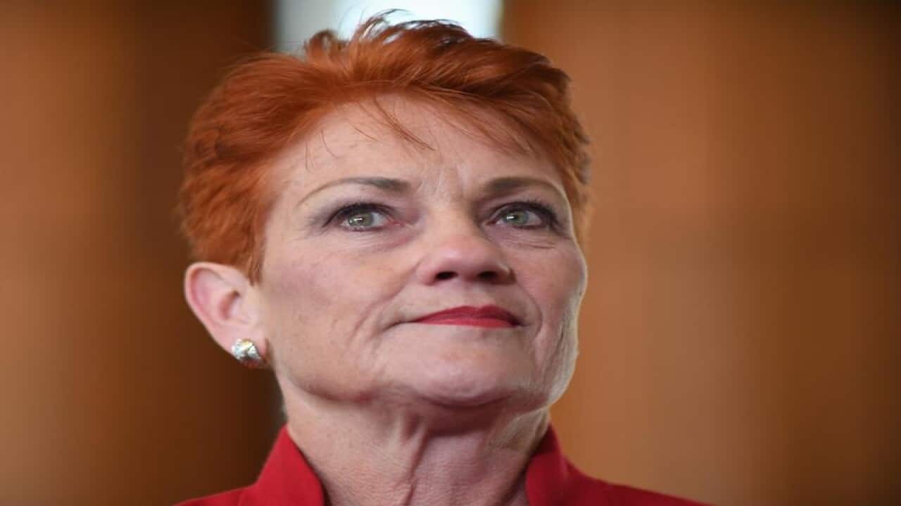 One Nation Senator Pauline Hanson during a press conference