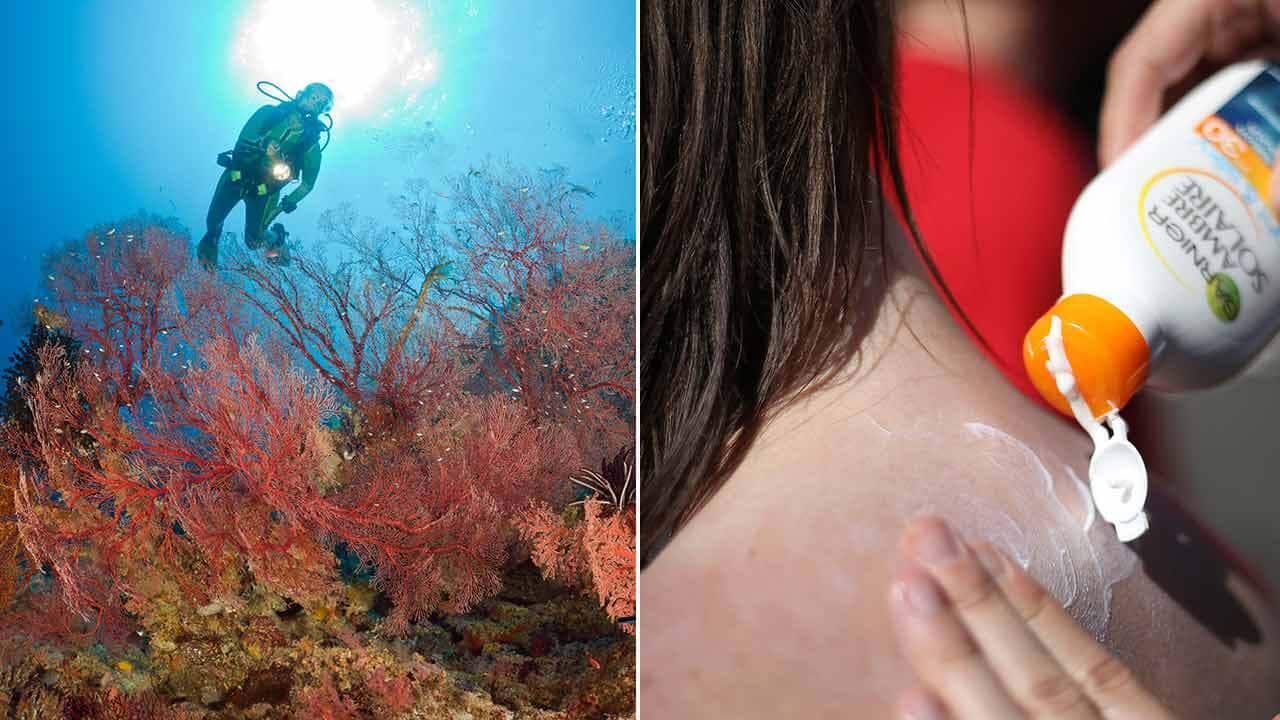 The Pacific nation of Palau will soon ban many types of sunscreen.