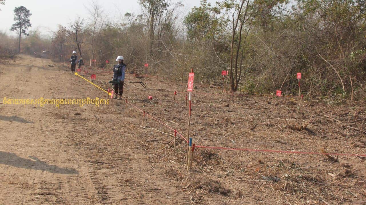 mine field in Cambodia.jpg