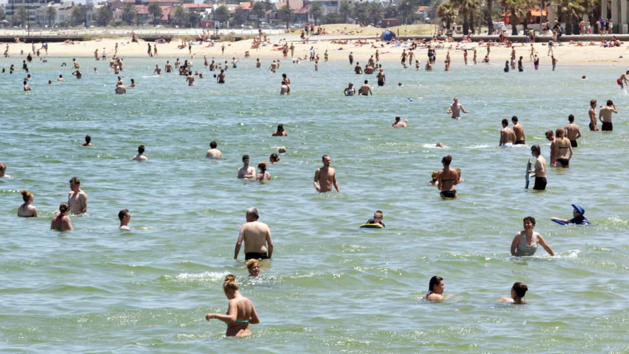 vic_beach_heatwave_aap.jpg
