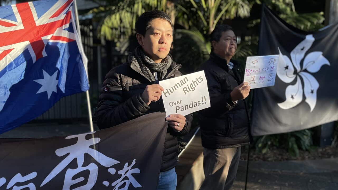 Hong Konglu muhalif ve eskmilletvekili Ted Hui (SBS).jpg