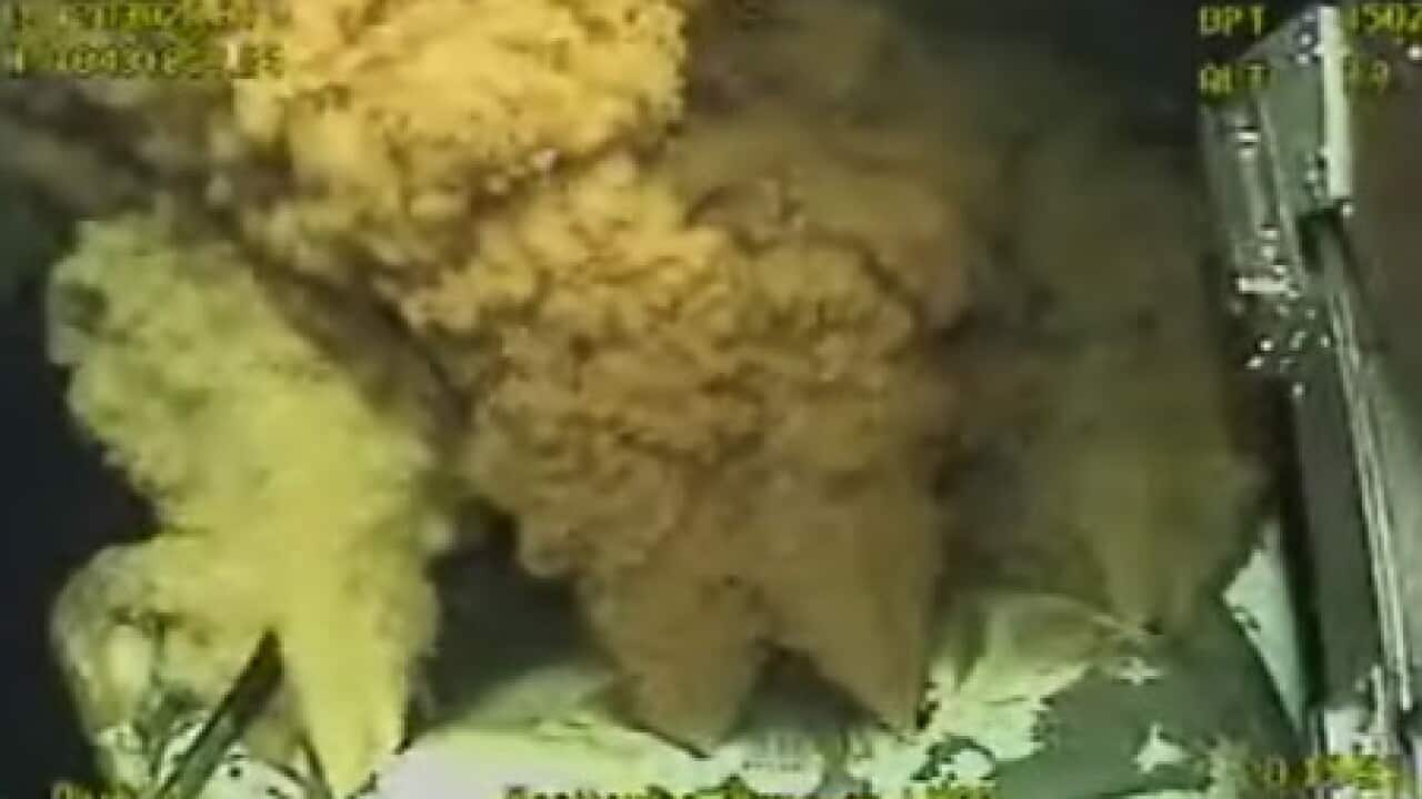 gulf_oil_topkill_L_100527_AAP_1189187590