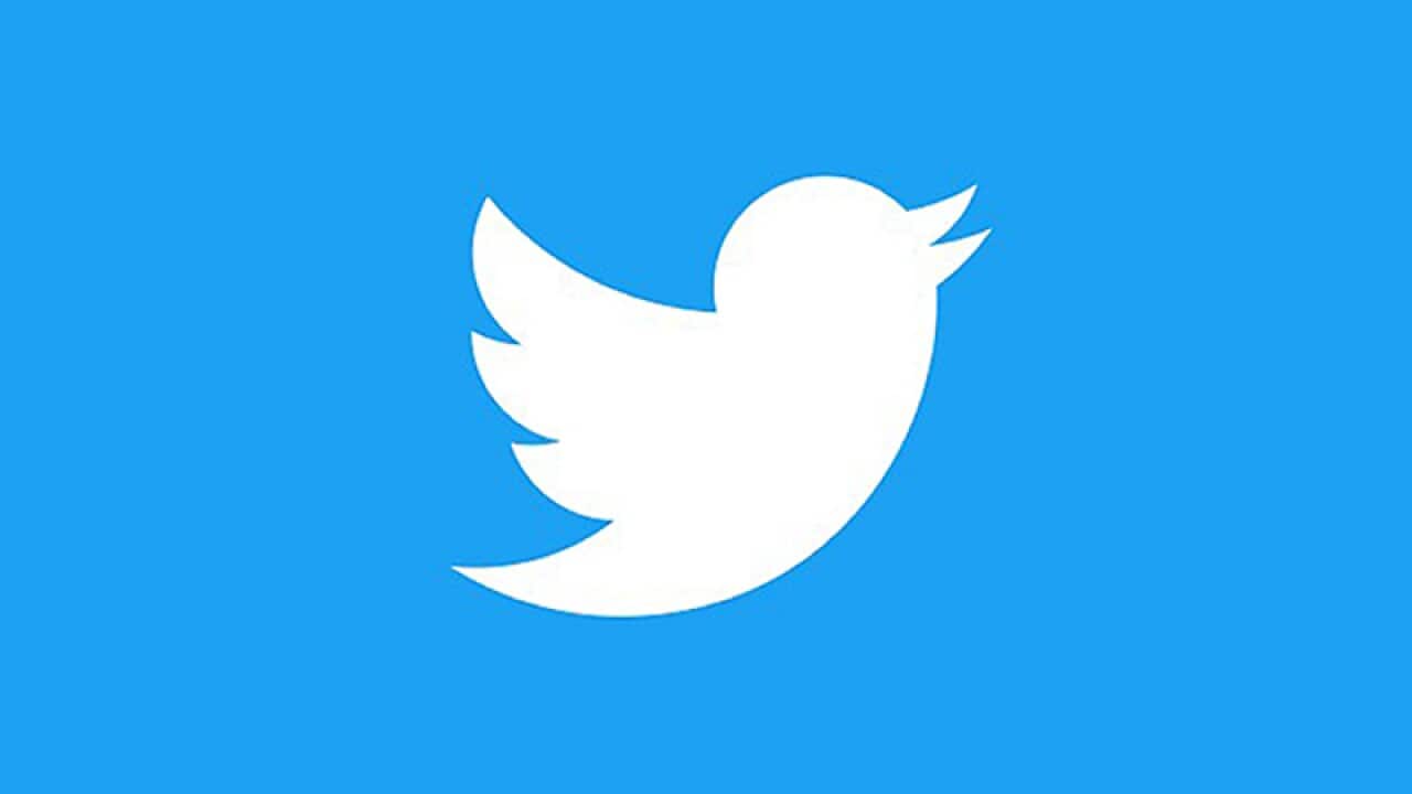 The Twitter bird logo