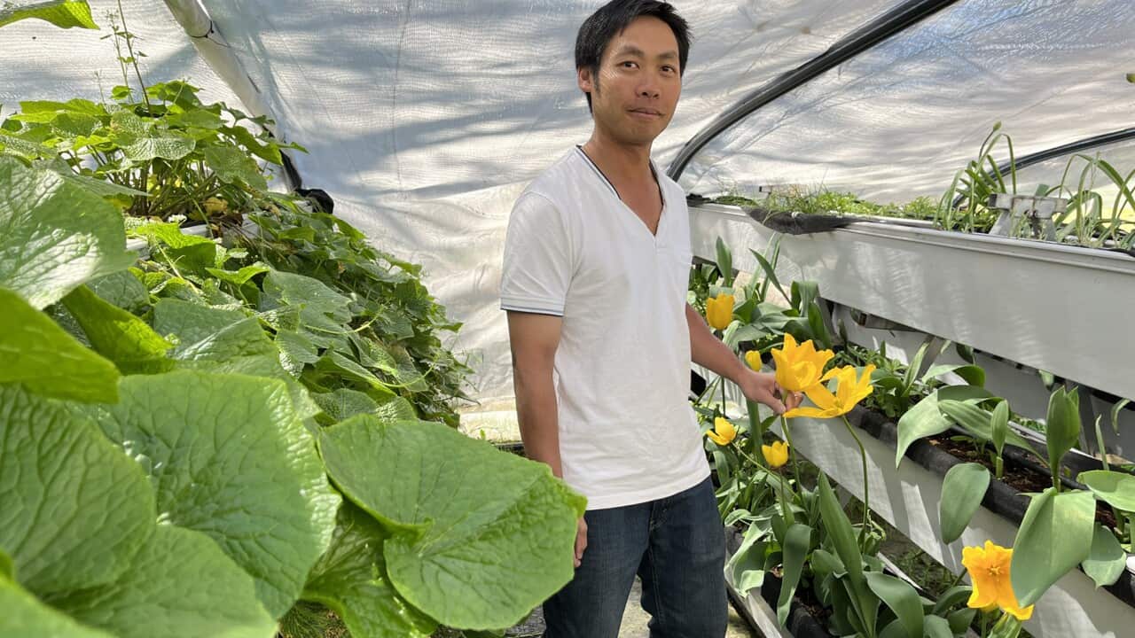 Image for read more article ''