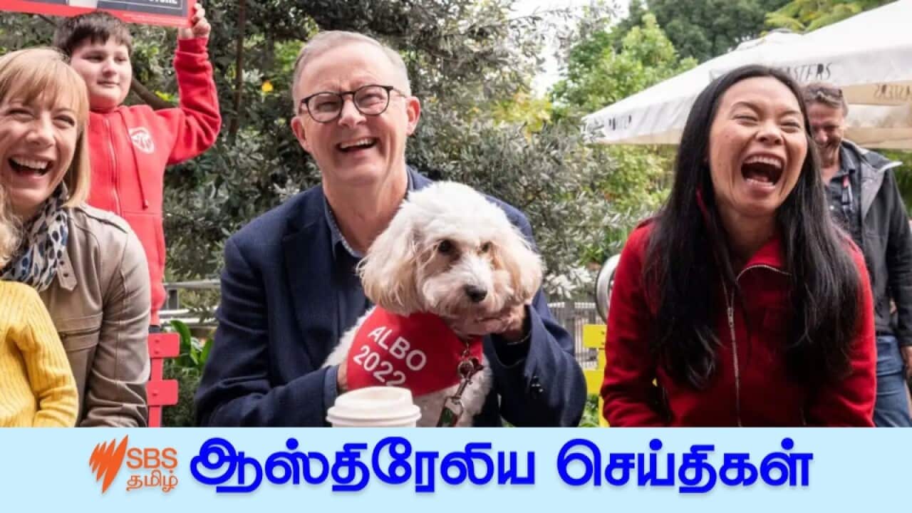 Anthony Albanese