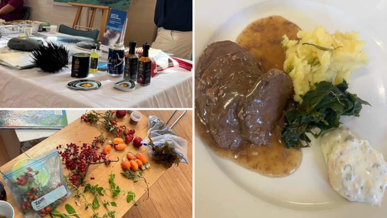 Learning and Eating Invasive Species.png