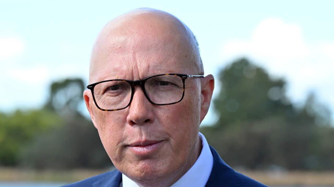 A close up of a man in a suit and glasses