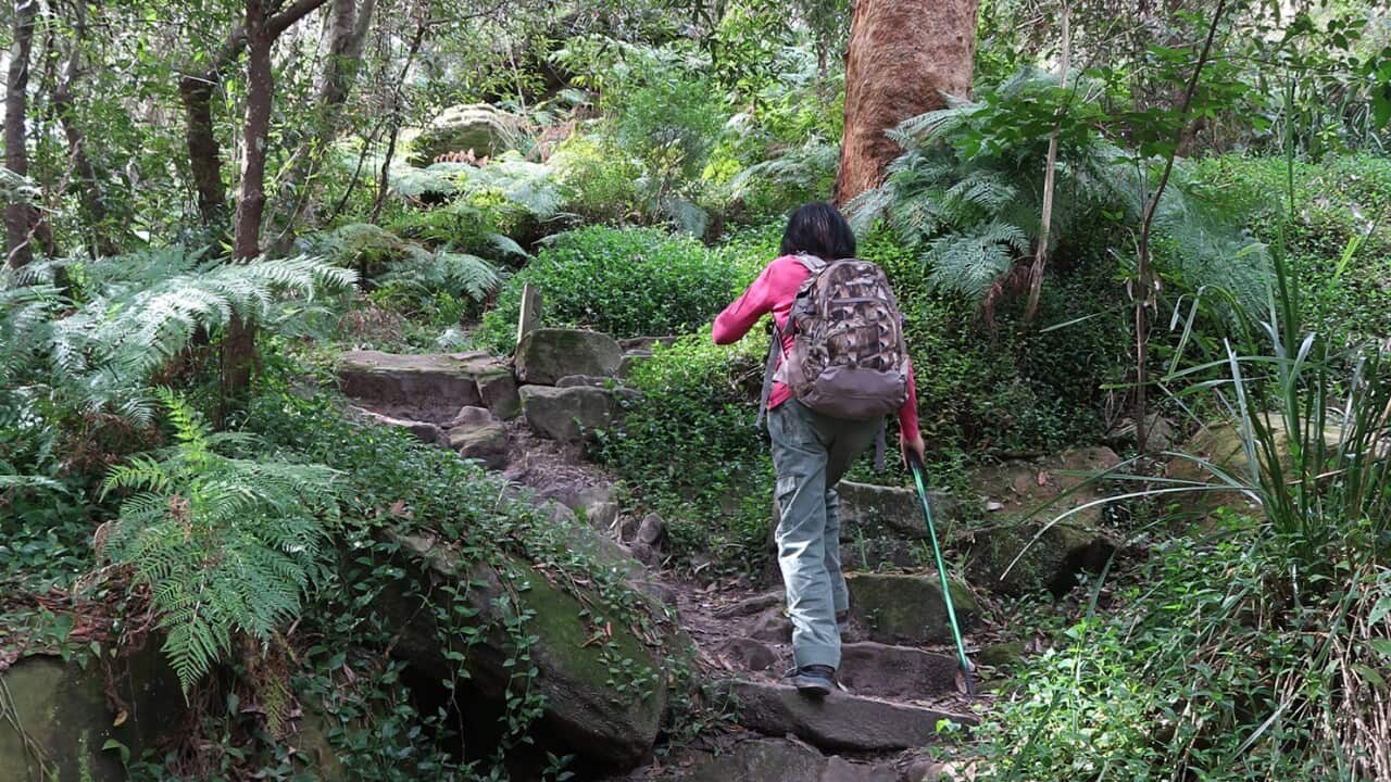 Image for read more article 'READ MORE'