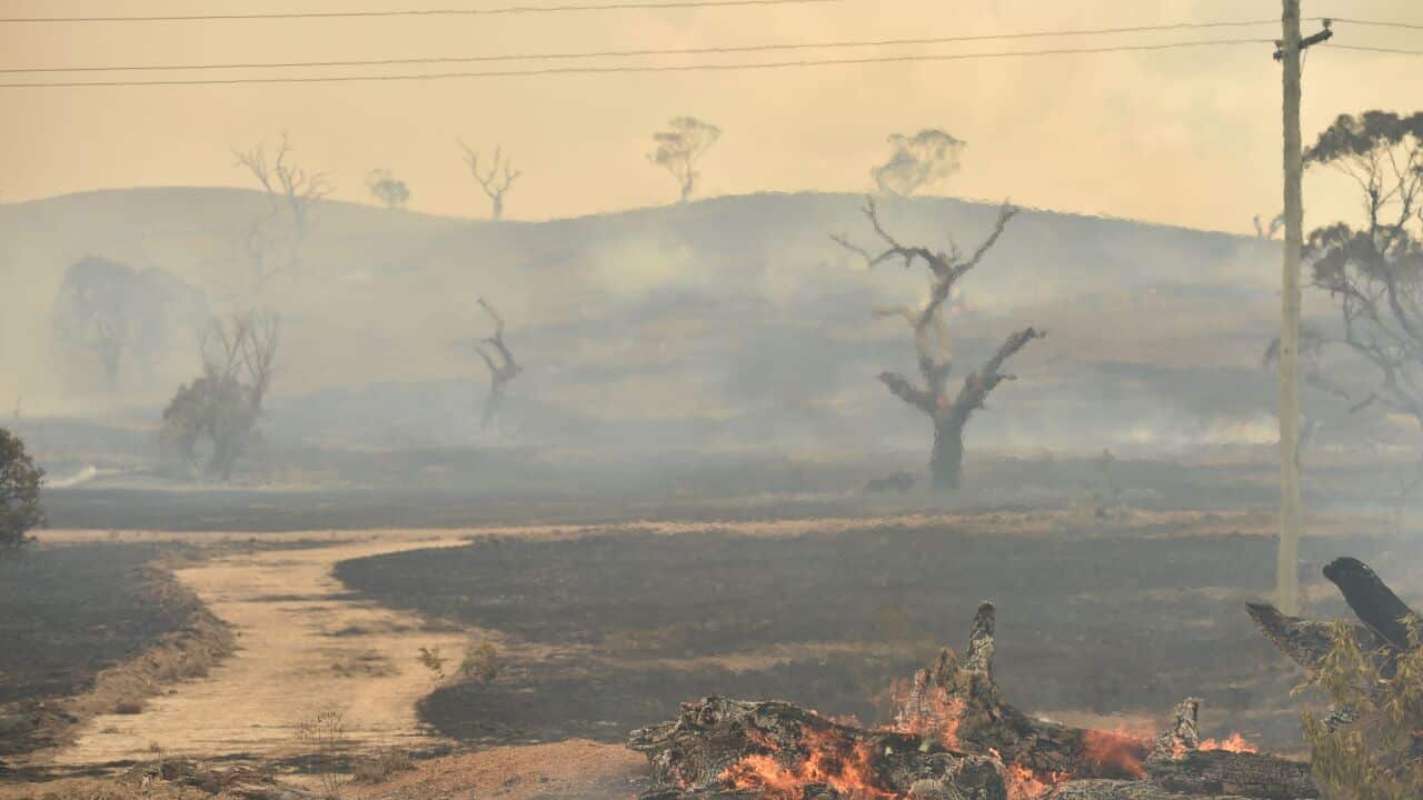 The aftermath of a bushfire near the town of Bumbalong, south of Canberra on February 2, 2020