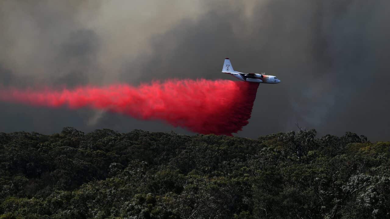 An air tanker drops fire retardant on the Gospers Mountain fire near Colo Heights south west of Sydney, in November 2019.