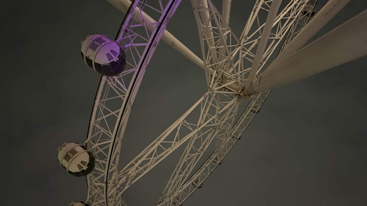 IMG_3925.jpeg