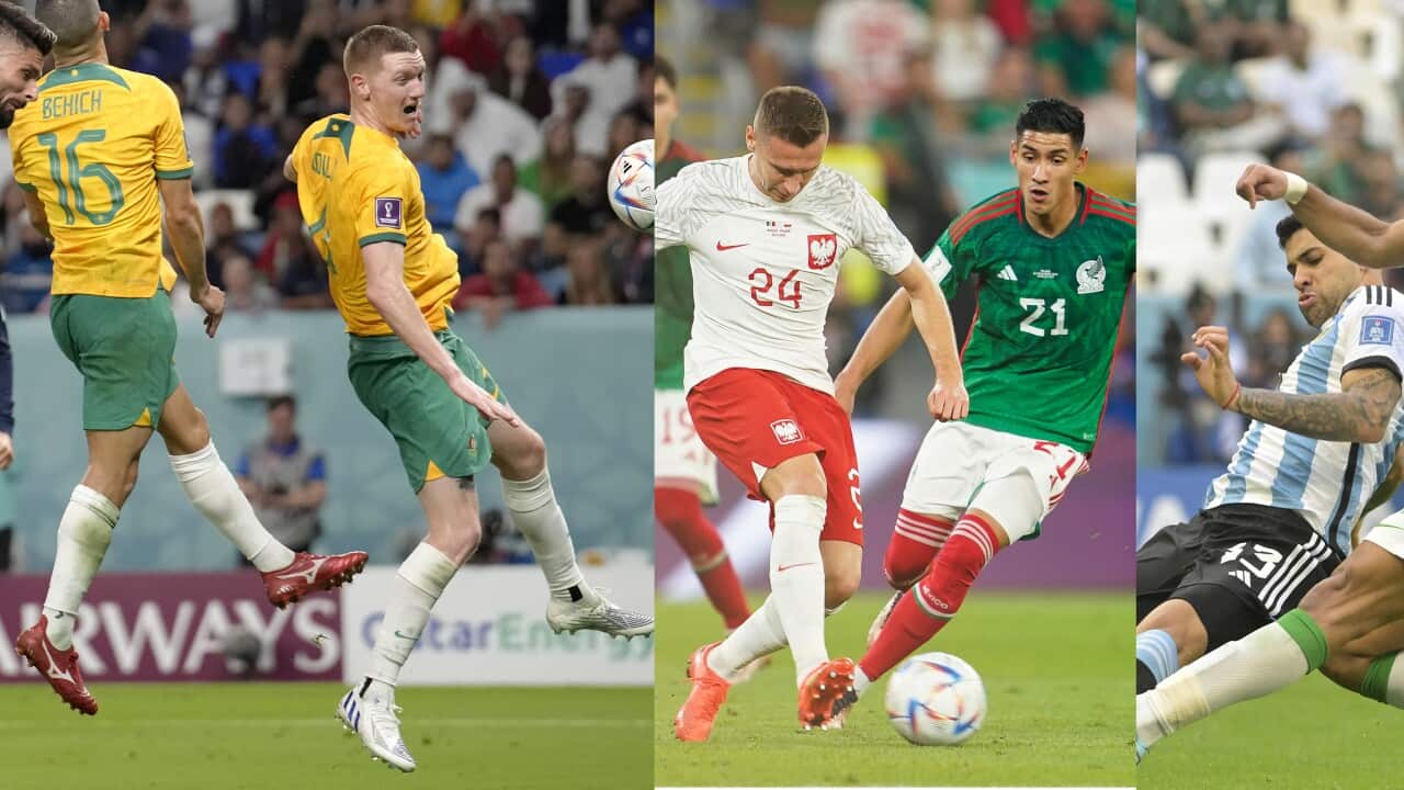 Image for read more article 'Lee también:'