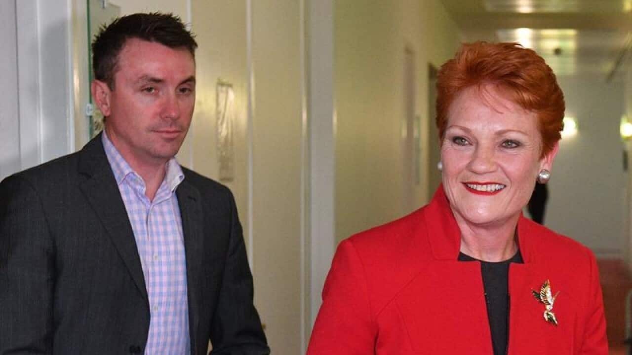 Pauline Hanson advisor James Ashby, who recently spoke to America's NRA about watering down Australia's gun laws, says the senator will be back soon.