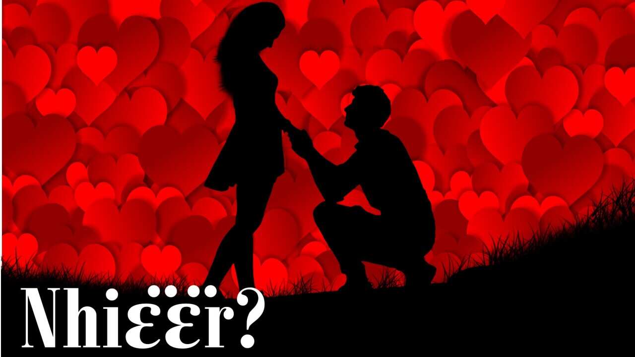 The photo vector image showing couples during the proposal
