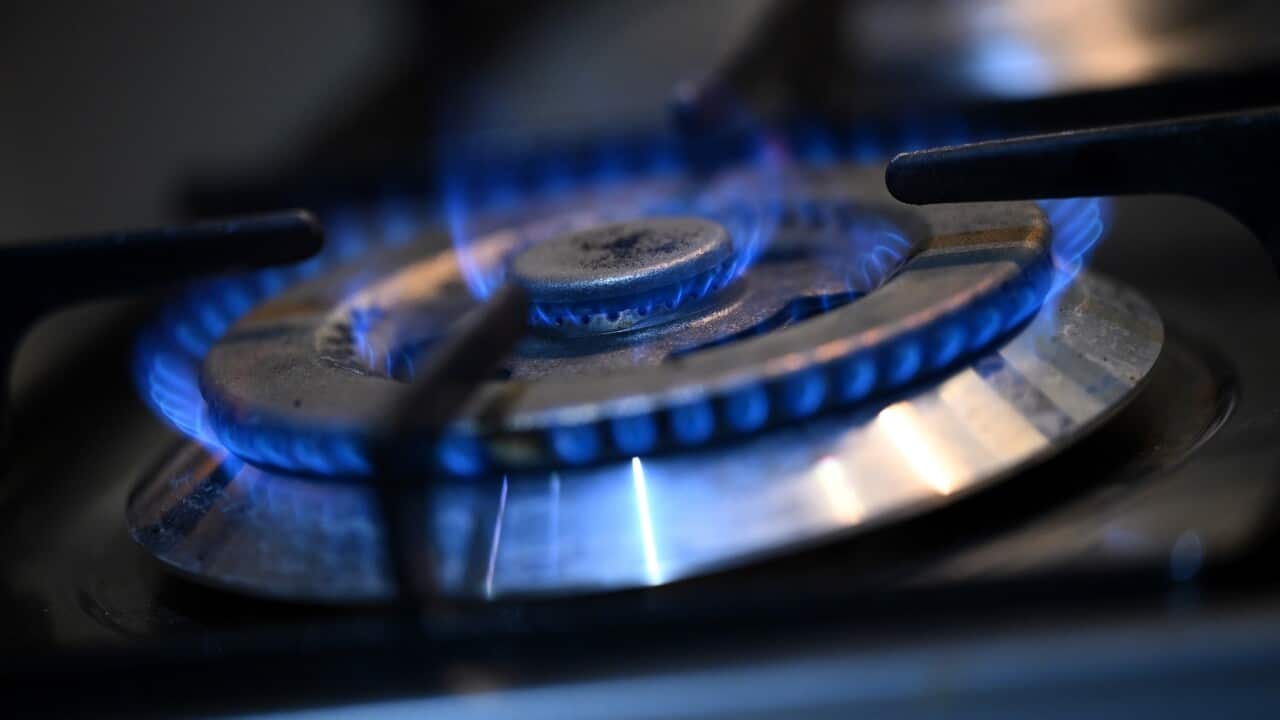 A gas stove burner
