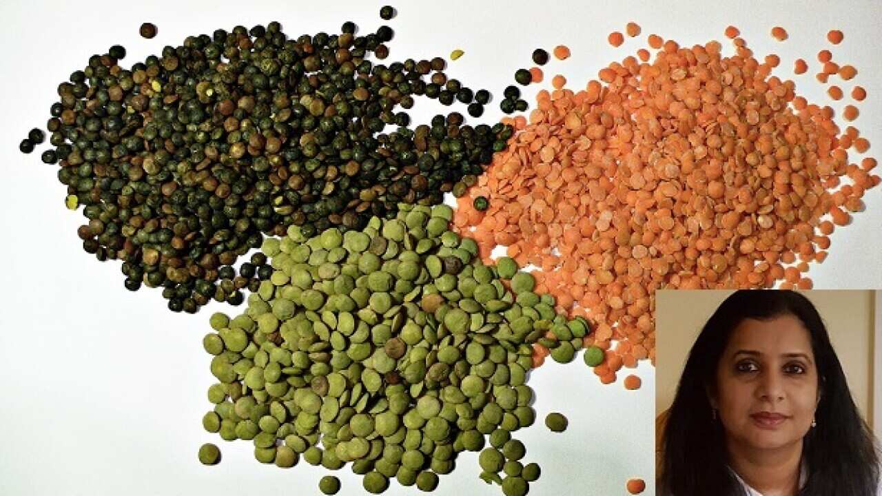 breeding of lentils