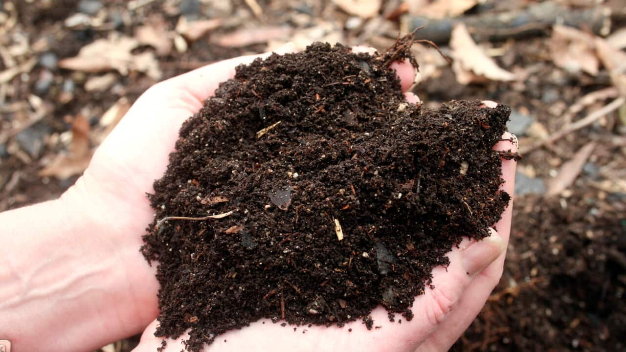 Gardening Mulch