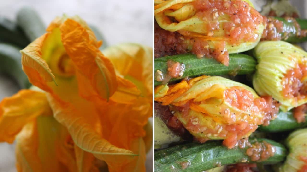 Image for read more article 'Δοκιμαστε επισης'