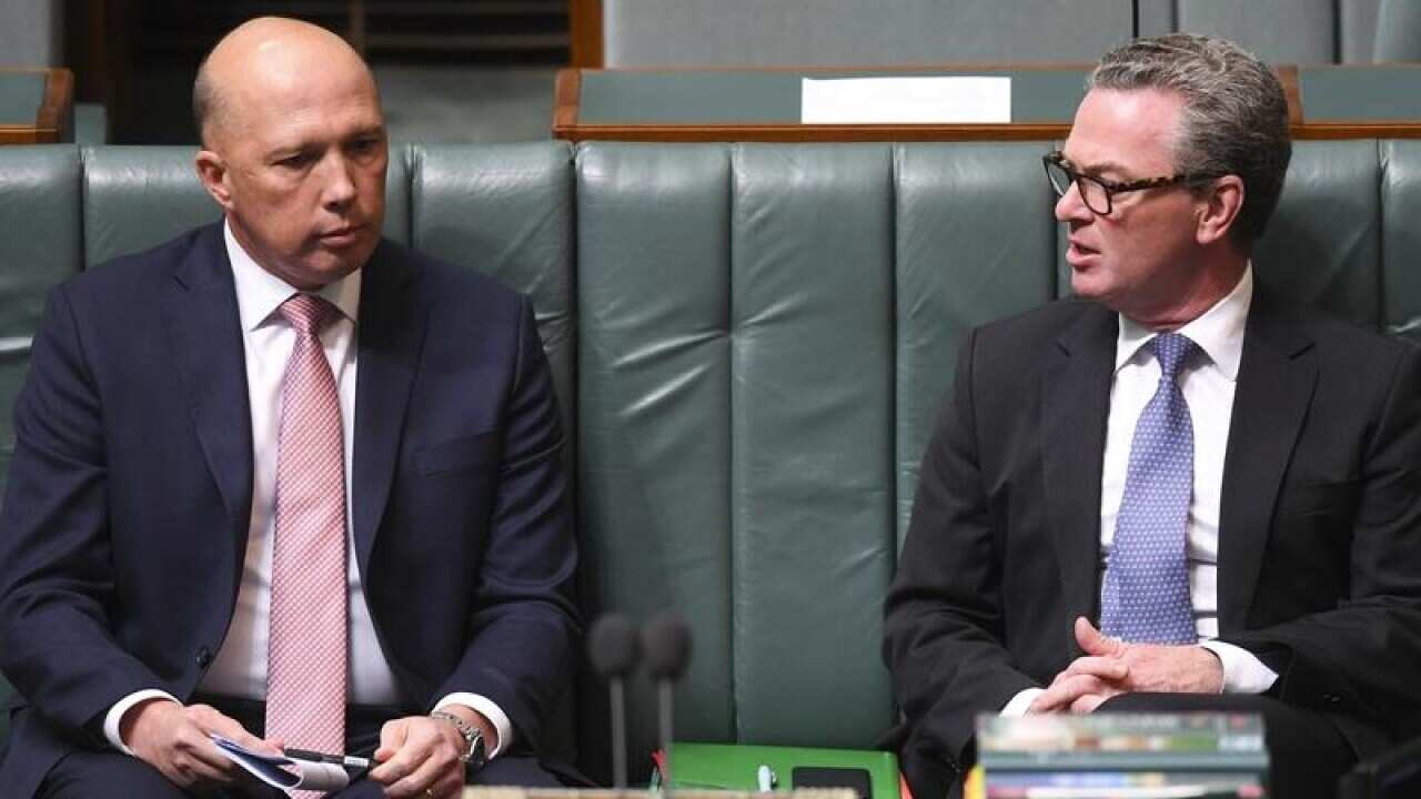 PETER DUTTON HOUSE OF REPRESENTATIVES