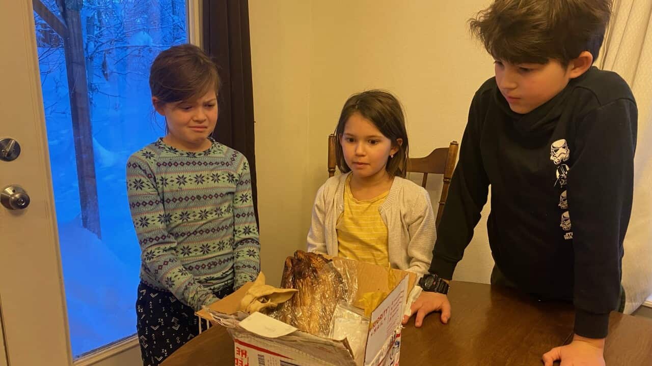 Three children looking at a parcel on a table in front of them.