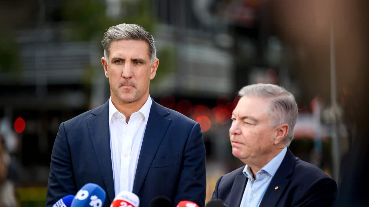 AFL SYDNEY SWANS INVESTIGATION