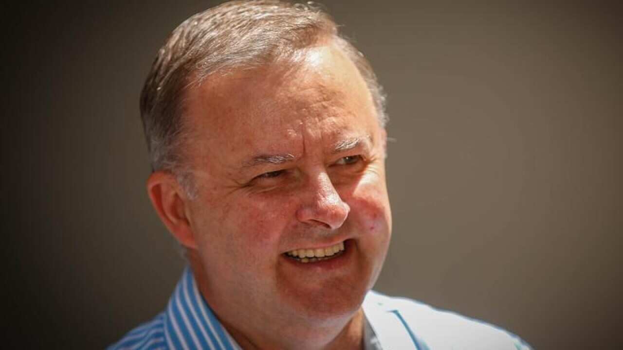Anthony Albanese MP addresses the media in Sydney.