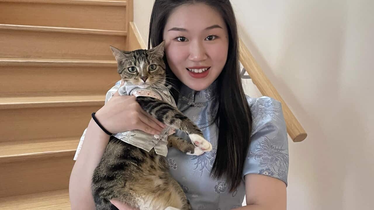 Image for read more article 'READ MORE'