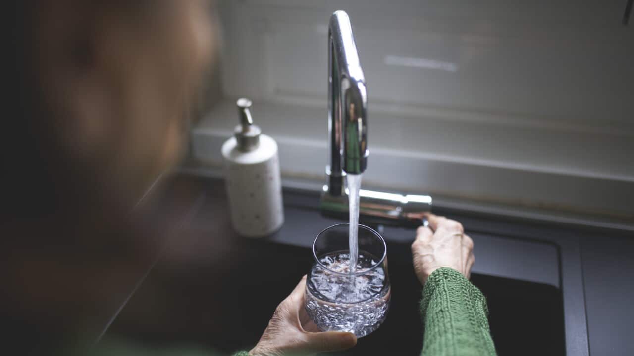 Close up of a senior woman's hand filling a glass of filtered water right from the tap in the kitchen sink at home