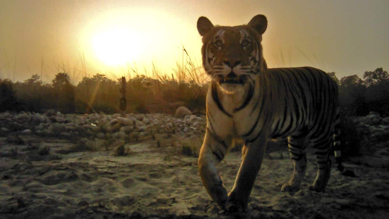 Image for read more article ''