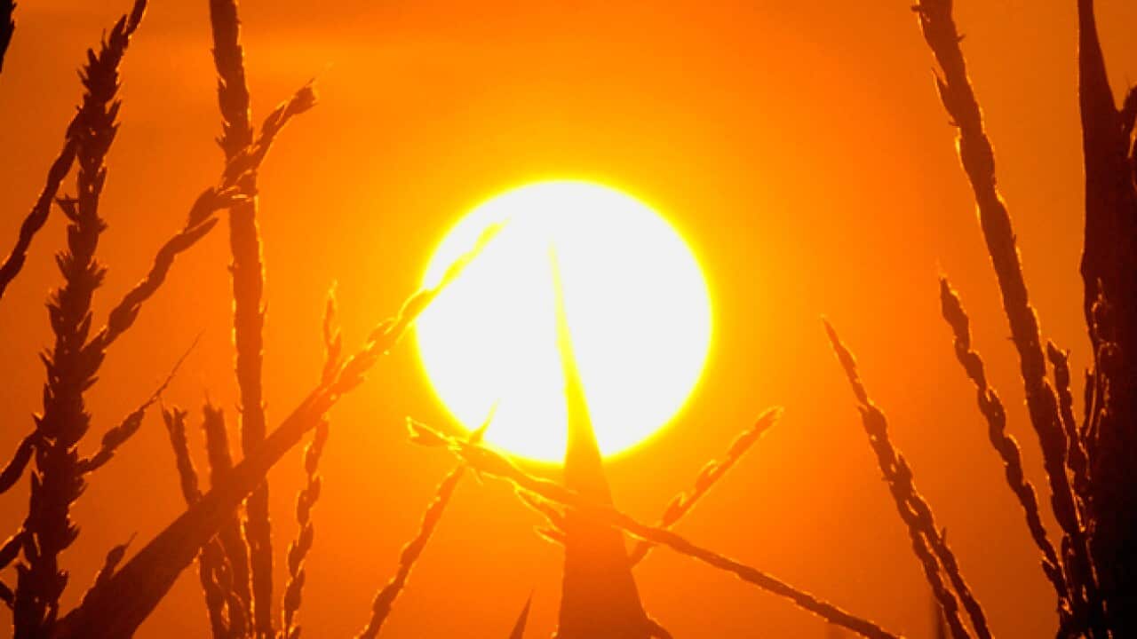 heatwave_hot_sun_aap_large_653559764