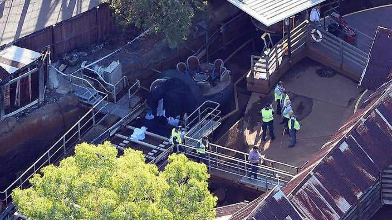 DREAMWORLD ACCIDENT