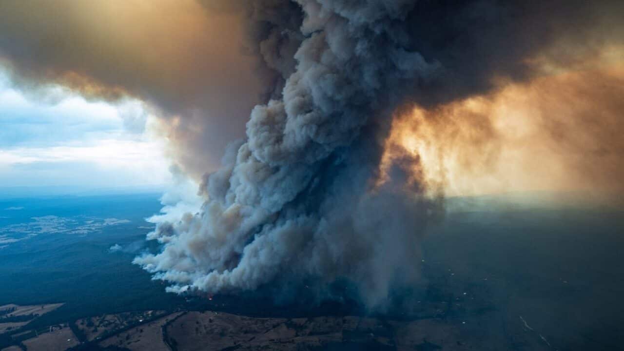 Image for read more article ''