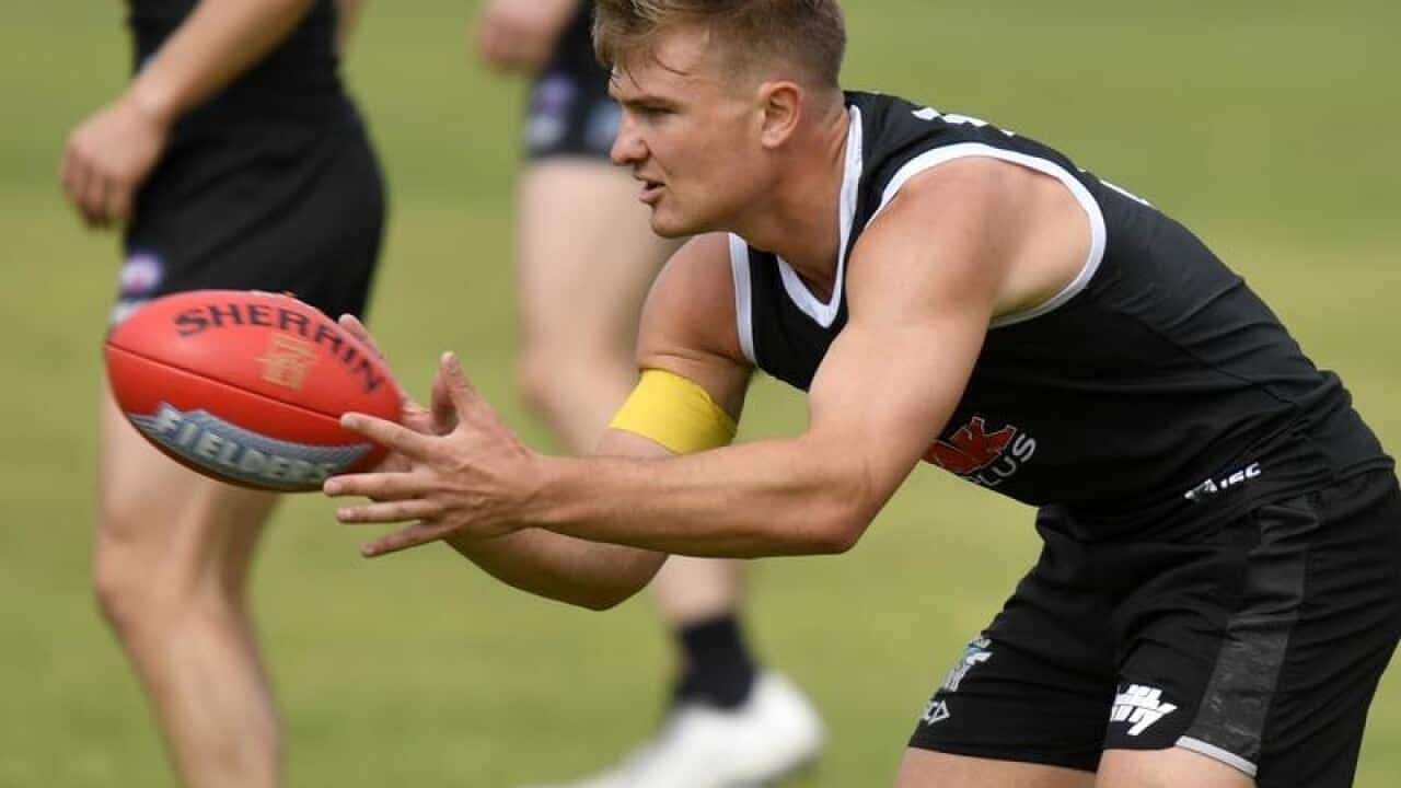 Ollie Wines