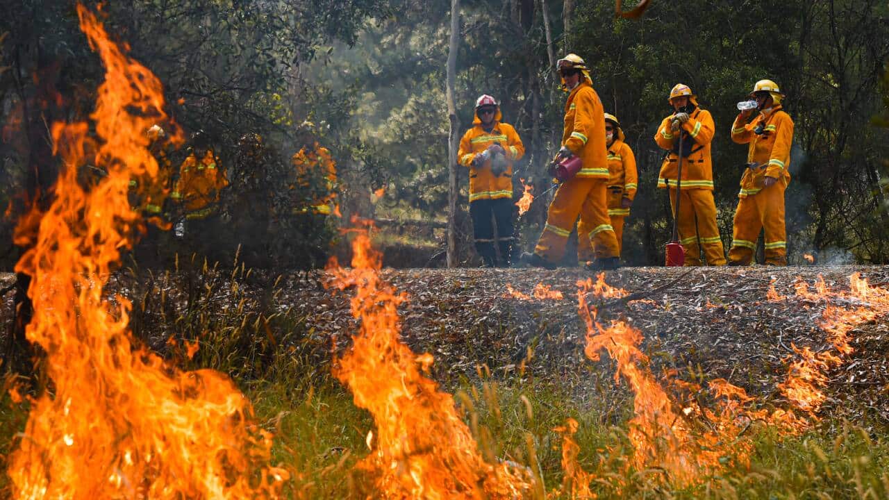 BUSHFIRES VIC