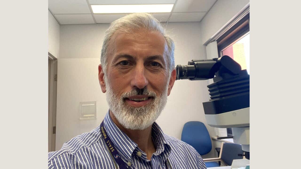 Dr Sarbar Napakhy.jpg