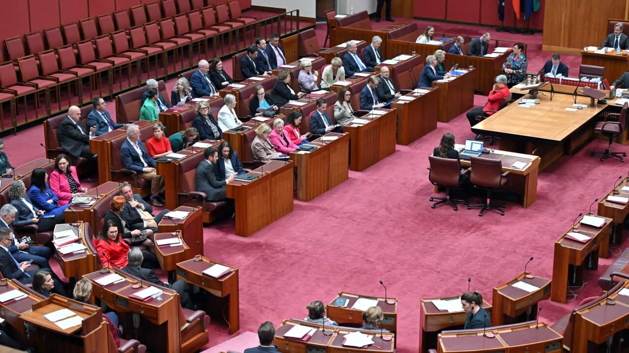 GREENS HAMAS MOTION SENATE